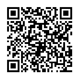 可是这一次收获的钱也不过是只够母亲一个疗程的治疗费而已二维码生成