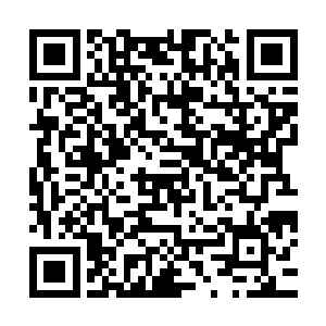 可是这么多的攻击撞到了一起加起来的声势可就让人不敢小视了二维码生成