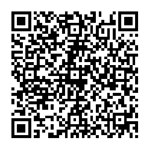 可是这初醒的血脉依旧没有办法让他的实力能够彻底的击败金翅小鹏王手下的几个大帅二维码生成