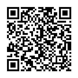 可是这却并不代表着人族对那无数年前的对手没有任何的提防二维码生成