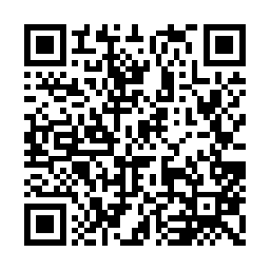 可是这却并不代表着我们海马一族就会畏惧与你二维码生成