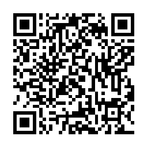 可是这片在外面看上去没多大的海底森林却似乎无边际一般二维码生成