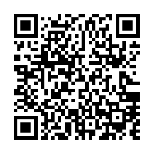 可是这里的大海没有经过工业文明的污染显得要清澈的多了二维码生成