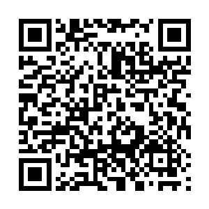 可是那份自己还没有做完的农机生产补助款使用明细表二维码生成