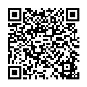 可是陆为民他就敢在曹书记上任第二夭的时候就去反映二维码生成