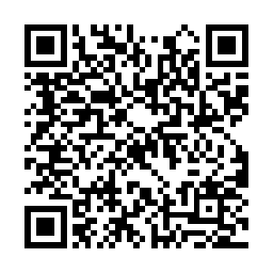 可是--可是白小飞和小薇--无论是医生还是专二维码生成