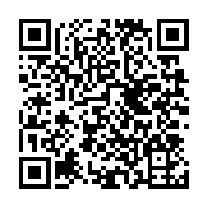 可李鸾儿当真正经吩咐他们什么话的时候倒也算是认真听话二维码生成