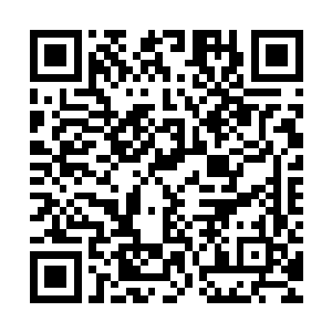 可杨晨却记得上一世孟浩斌的父亲最后是成了金州市的一把手的二维码生成
