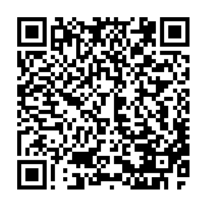 可没想到最后的结果却恰恰跟他们想象的正相反……他们可不是李枫这样的蠢货二维码生成