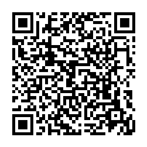 可没想到这个时尚的新同学在把教室扫了一圈之后竟然主动要和她成为同桌二维码生成