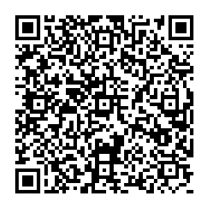 可现在他的儿子秦方却已经有了这样的实力了……或许秦方现在的资产还远远不能跟曲家相比二维码生成