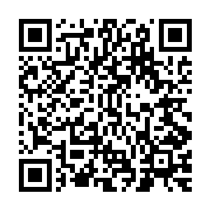 可现在尤里恩特竟然一次性给他们补偿了整整一百万狩魔积分二维码生成