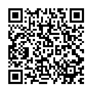 可现在怎么觉得……这位漂亮的小学妹才是掌握主动权的那个二维码生成