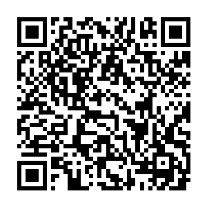 可看到虎先生在见到他意外摔倒的时候赶紧用爪子捂住眼睛的滑稽样子二维码生成