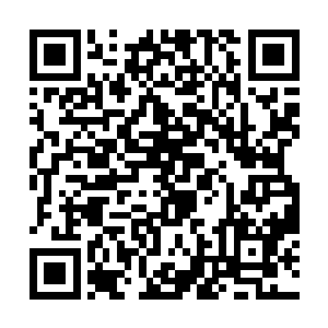 可眼见只是短短一瞬间便死去了无数的练气后期修士二维码生成