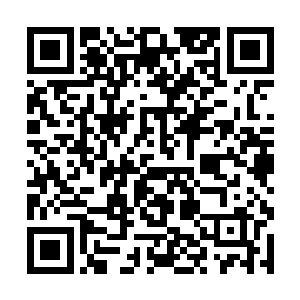 可确确实实将那些魔影血神都轰杀的干干净净了……二维码生成