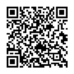 可算是把之前对形势预想的过于简单的洛家康给彻底的惊呆掉了二维码生成