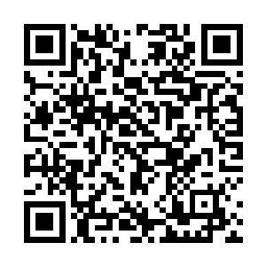 可给巨兽致命一击的却根本看不出属于谁个氏族的秘法二维码生成