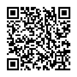 可能你家里已经给你安排了什么门当户对的未婚妻二维码生成