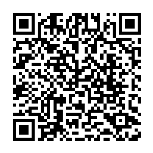 可能实在是觉得这小直升机在这个特定的峡谷执行任务是多么有特效二维码生成