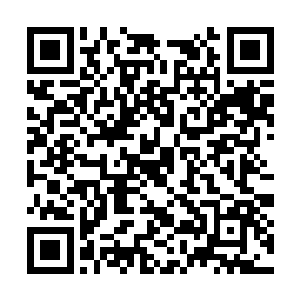 可自身同样翻滚的血气以及伤势让他根本无力追逐二维码生成