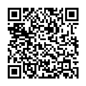 可若是十二仙门染指的区域和我们起冲突又当如何二维码生成