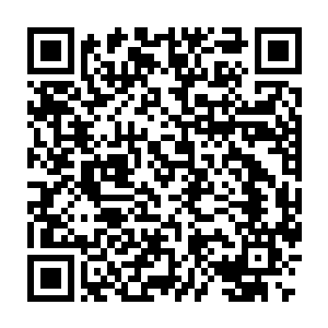 可蛋圆圆从小就被塞翁用了隐秘手法将精神中枢开拓到无法想象的地步二维码生成