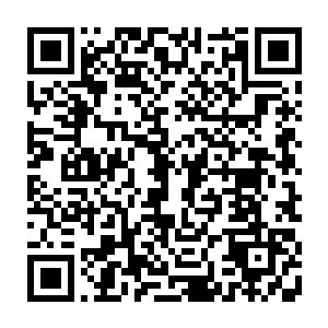 可要是跨了物种……可就真是有心无力了――这千百万的手段也就随之作了废二维码生成