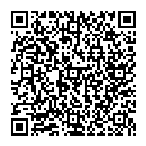 可见刘三娘子已经猜想到了卢八娘一定是与王爷有了不可调和的矛盾才会带着儿子去青山城的二维码生成