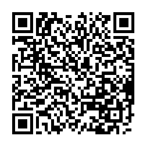 可见捕获外域地仙后引发的轰动效应……而在这样紧张逆向推演之际二维码生成