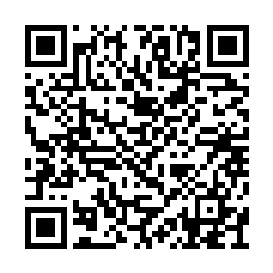 可谁能想到这个有能者居之把他们也算在了里面二维码生成