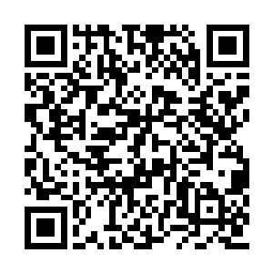 可谓是真实电影界极为重要的人气与实力的体现二维码生成