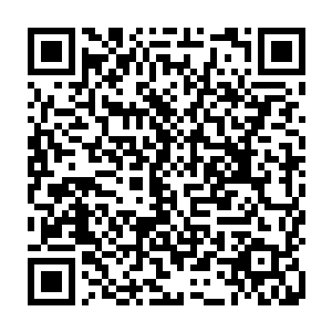 可貌似他们连秦方的底细都还没有弄清楚……秦方的母亲秦青的身份倒是很清楚二维码生成