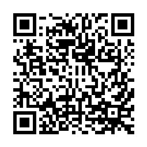 可身上一股子强横凶戾的煞气简直就像尸山血海里打过滚似的二维码生成