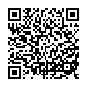可这些词汇根本无法与现在他在神农架碰到的无解局面相互关联二维码生成