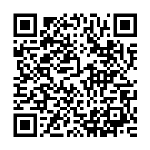 可这怎么……一到府里就倒下了……我们真的……不知道……二维码生成