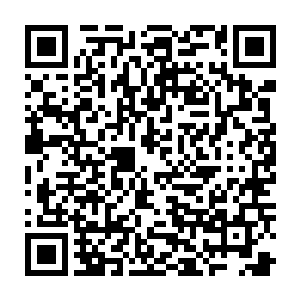 可这村子里的为了所谓的几百万却将建在祠堂里的一棵古树砍了卖给人家二维码生成