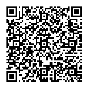 可这样才算是激起了他们的奋斗之心不论资质不论出身但凡一心求道一心修炼便可永无止境的向前二维码生成