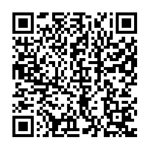 可那老道分明从头到尾看得一清二楚……杨晨不间断施展的道法次数二维码生成