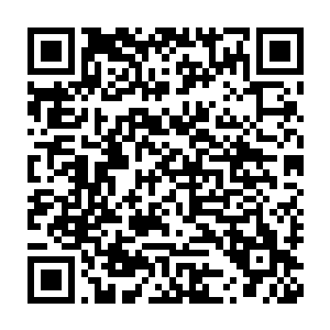 可陆为民却又在不同场合开诚布公的表示蓝岛的发展不能依赖于央企二维码生成