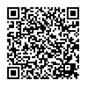 可随即便又想起传闻大顺的御王妃和七皇子昨夜被炸死在西城门外一事二维码生成