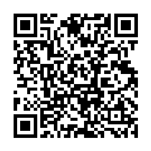 台上几个近乎全裸的舞娘正在扭动着柔弱无骨的身体二维码生成