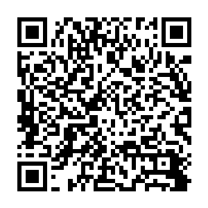 台上的十名至尊药师刚刚因为对夜染的系列动作而舒展开的眉心又皱了起来二维码生成