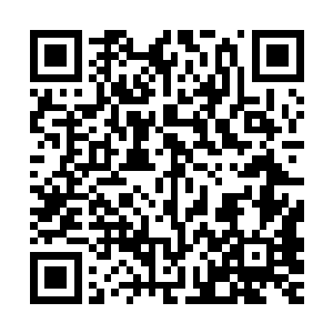 史中通拿起放大镜走到面前仔细的看着这几条鱼差不多有十分钟二维码生成