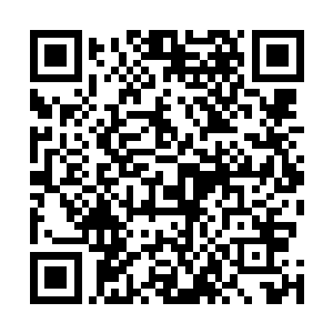 史密斯那家伙在学校里就经常用他那看上去让人相信的脸二维码生成