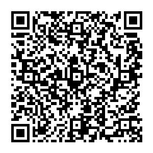 史蒂文一斯皮尔伯格背后所代表的犹太人团队已经接受了之前迈克一尼科尔斯在节目上的道歉二维码生成