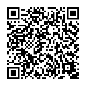 右侧的数据条上就给出了李尔和烈心联合给出的x能量攻击峰值和物理攻击峰值二维码生成