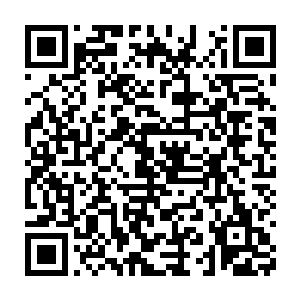 叶……快逃…萧家的人……要杀你…我们没有说…你去了…奇…航……二维码生成