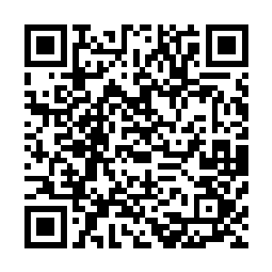 叶伯煊仔细辨认了下上面被血沾染的有些模糊不清的数字后二维码生成