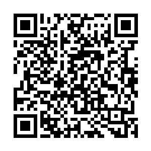 叶凡还是将最外面的那一层衣服上的血污用树技给弄去了二维码生成